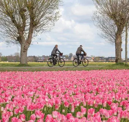 De Parel Alojamento de Acomodação e Pequeno-almoço