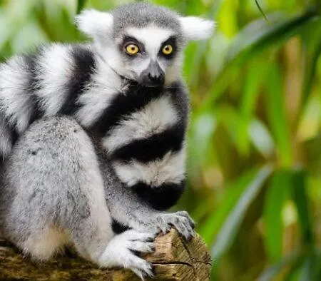 Alojamento de Acomodação e Pequeno-almoço De Parel Breezand