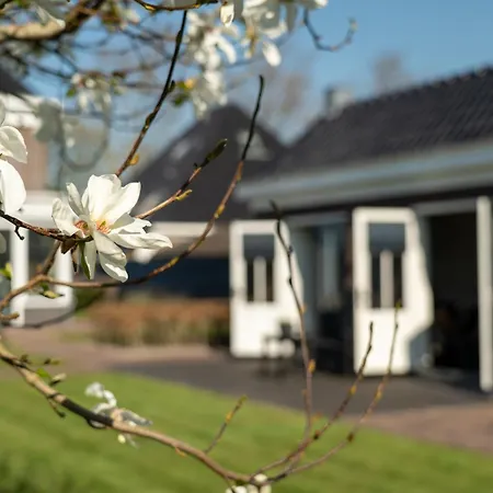 De Parel Couette-café Breezand (North Holland)