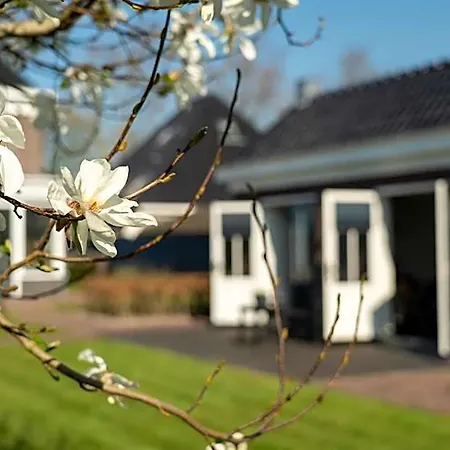 De Parel Bed & Breakfast Breezand (North Holland)