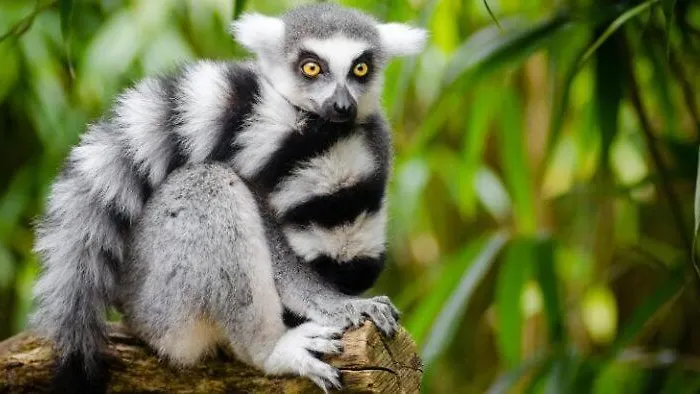 Bed & Breakfast De Parel Breezand