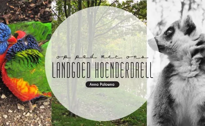 De Parel לינה וארוחת בוקר 3*