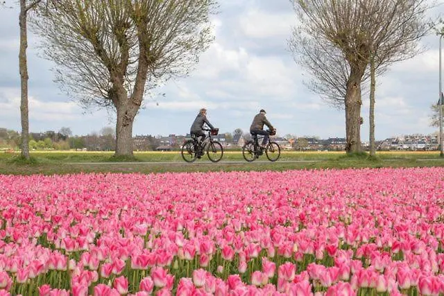 De Parel לינה וארוחת בוקר