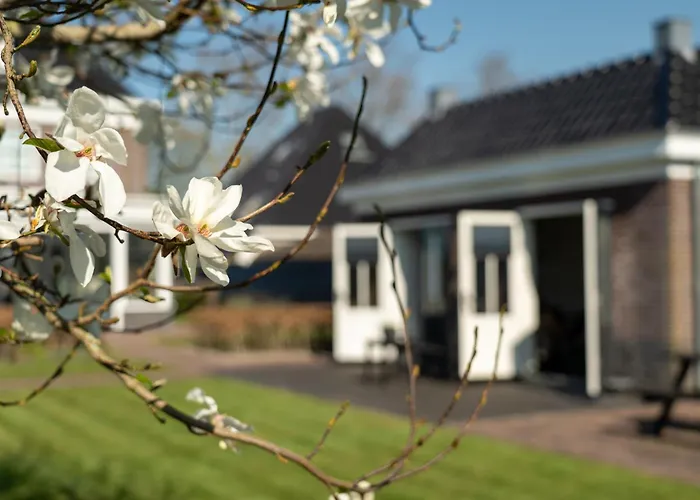 De Parel Bed and breakfast Breezand (North Holland)